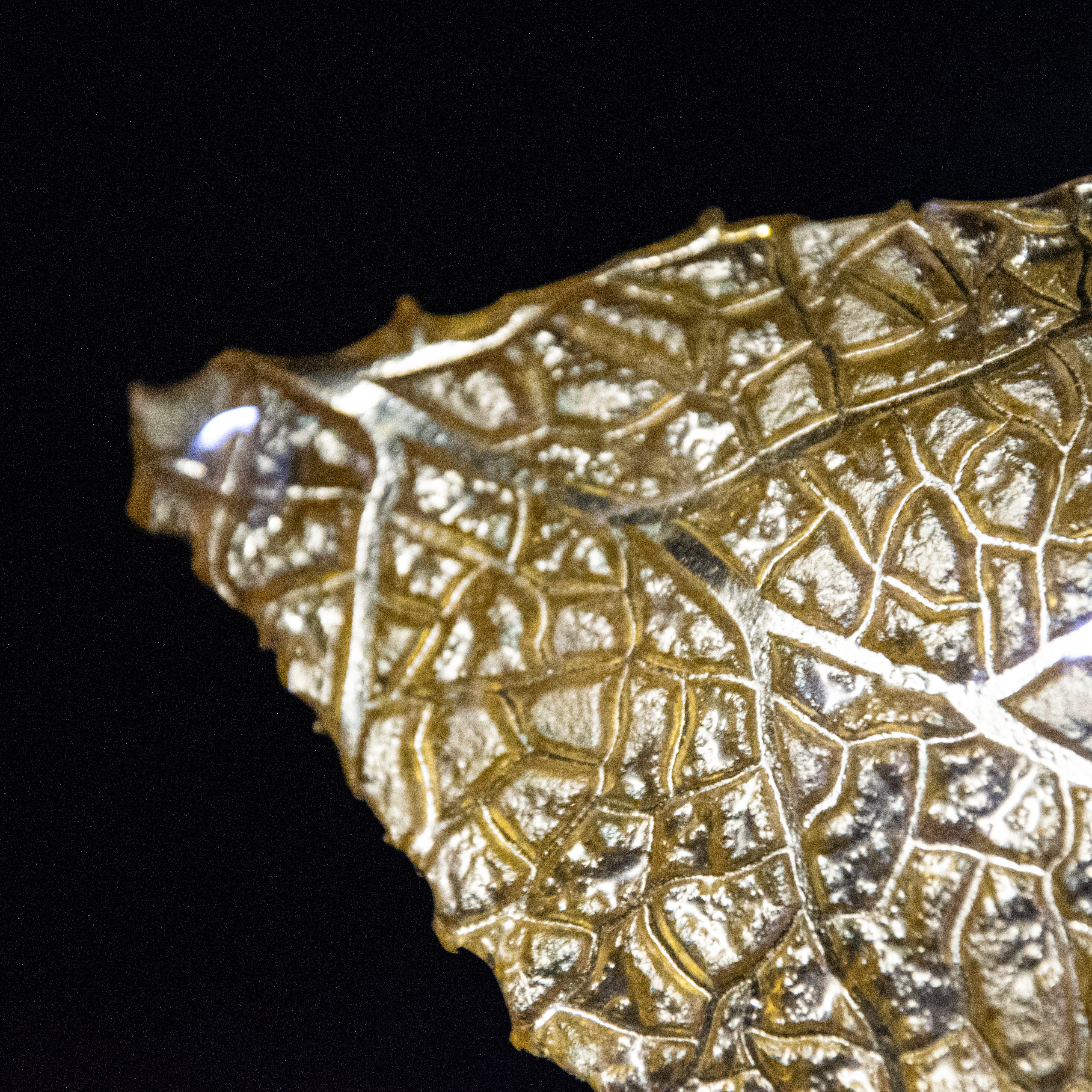 Magic Leaf - Image 3